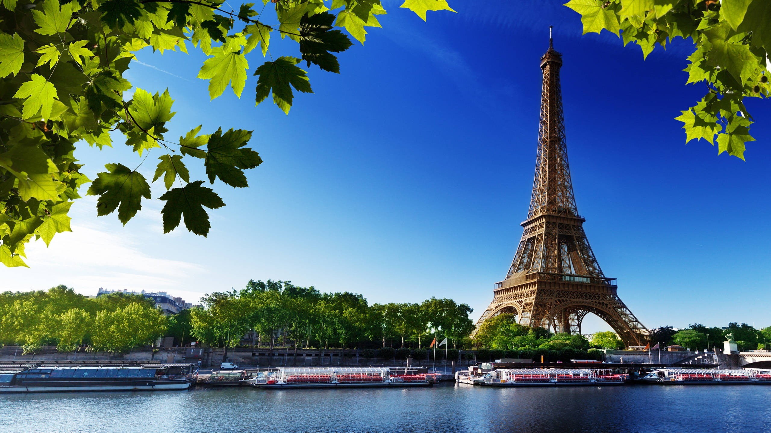 France gallery image